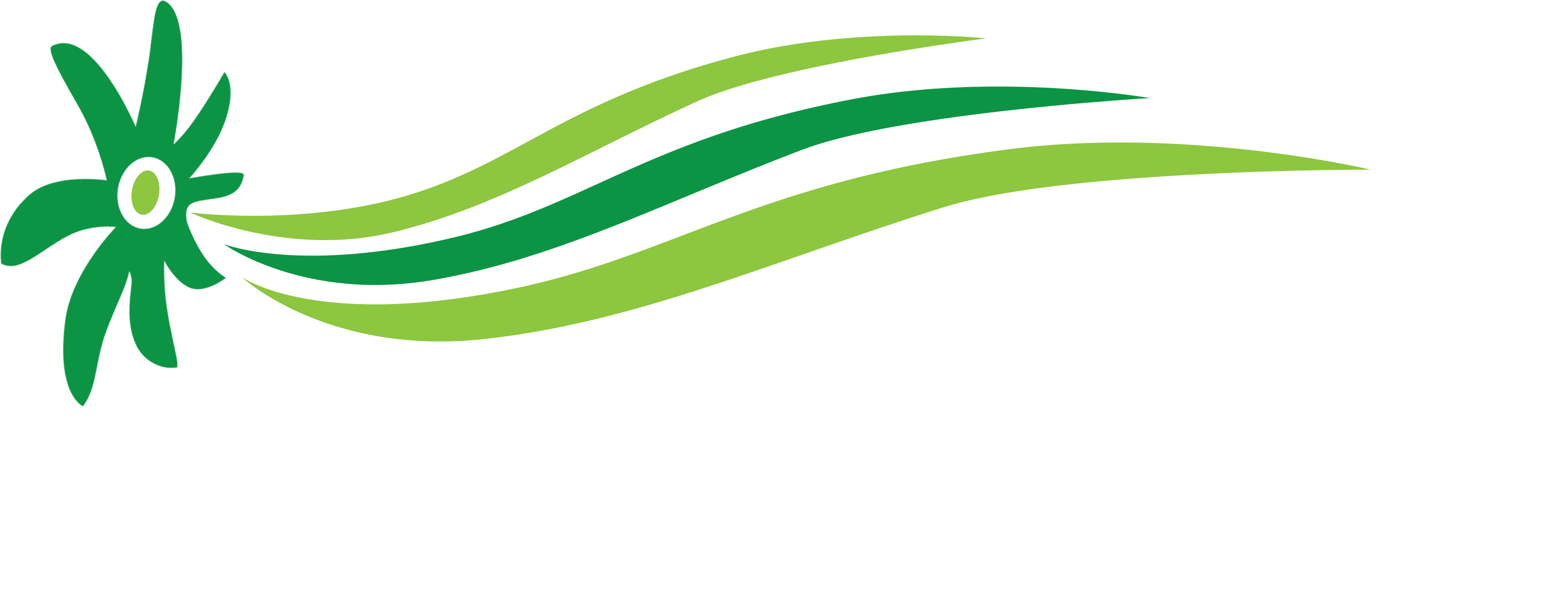 Logo Aire Limpio Global